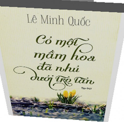 Có một mầm hoa đã nhú dưới tro tàn: 
Chiêm nghiệm, tỉnh thức