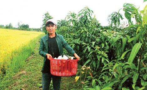 Quyết tâm thúc đẩy 
liên kết vùng hiệu quả