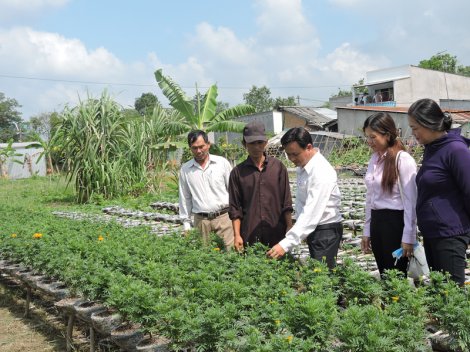 15 năm, một chặng đường phát triển