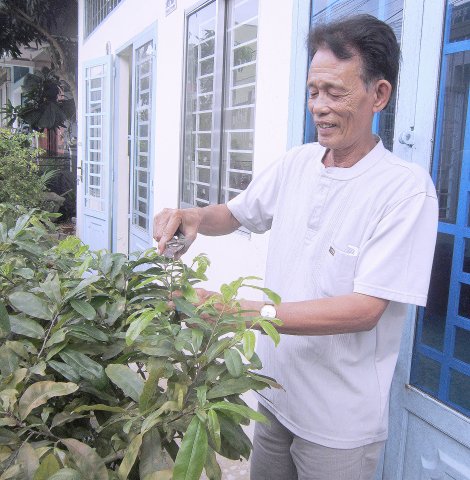 Hạnh phúc giản dị