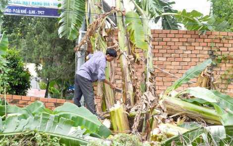 Các bệnh viện tăng cường công tác khám và điều trị sốt xuất huyết