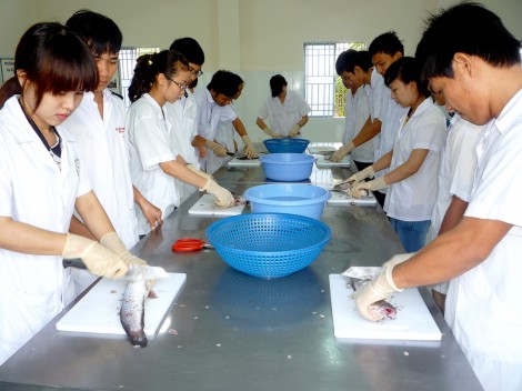 Chuẩn bị nguồn lực, đáp ứng yêu cầu đổi mới