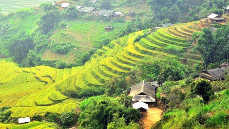 Mùa thu ở lưng chừng trời