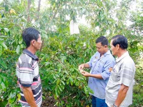 Chăm lo đời sống nhân dân