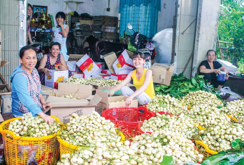 Nhiều giải pháp thúc đẩy phát triển kinh tế