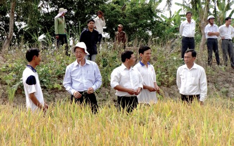 Nhiều chuyển biến tích cực