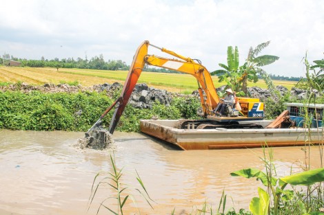 Thới Lai chủ động bảo vệ, phát triển sản xuất nông nghiệp