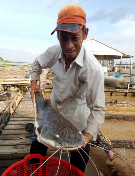 Lão nông nuôi cá lạ ở cửa ngõ cồn Sơn