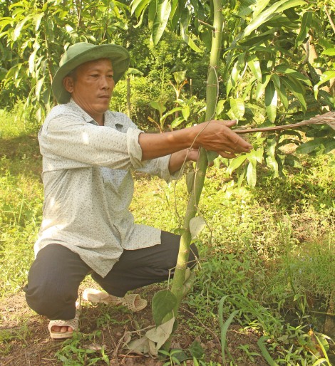 Cựu chiến binh gương mẫu