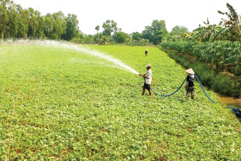 Tầm nhìn mới cho đồng bằng sông Cửu Long
