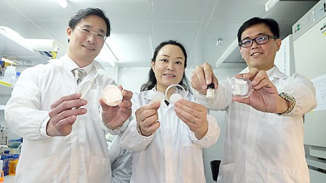 Miếng dán chữa thương 2 trong 1