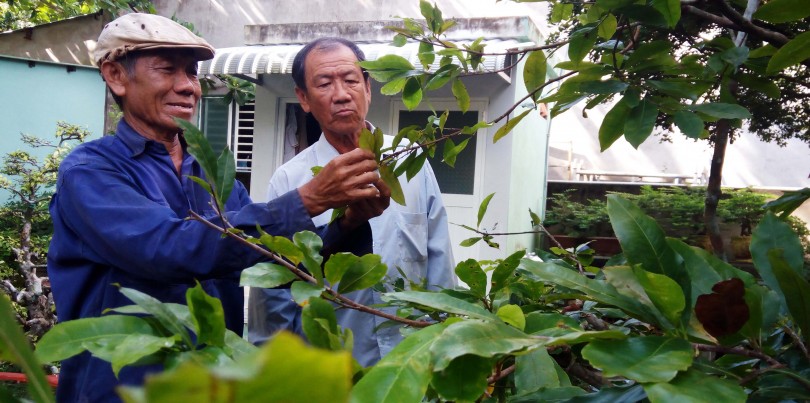 Mới Trung thu, mai vàng

miền Tây đã “ăn Tết”