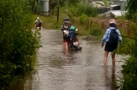 Hơn 500 học sinh sinh viên Trường Cao đẳng nghề Du lịch phải nghỉ học do triều cường