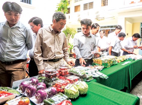Kết nối đưa nông sản sạch tới người tiêu dùng