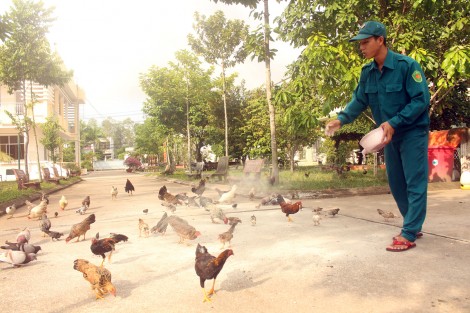 Thi đua để hoàn thành nhiệm vụ chính trị