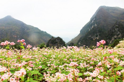 Mùa của Hà Giang