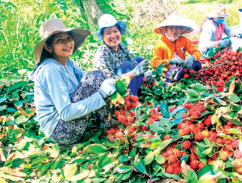 Kiến tạo để ĐBSCL phát triển an toàn, bền vững Bài cuối: Đổi mới tư duy và hành động ngay