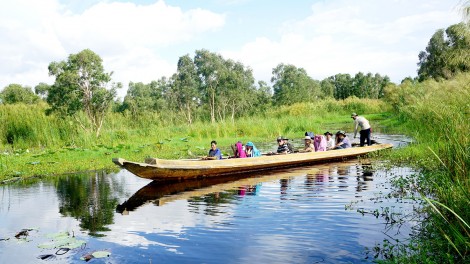 Khám phá rừng U Minh Hạ