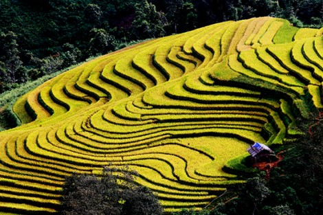 Cát Lình - bức tranh đa sắc của Chiềng Muôn