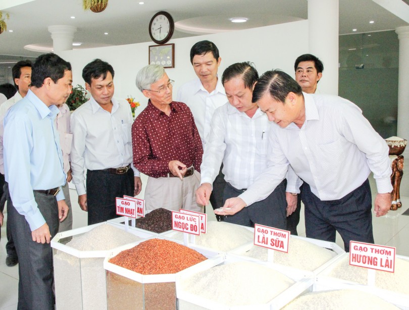 Bài 1: Những điểm sáng