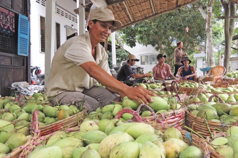 Nâng chất toàn diện các tiêu chí

để Phong Điền phát triển bền vững