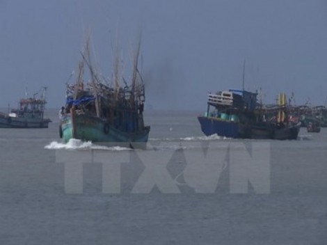 Thủ tướng gửi Thư khen Giám đốc Công ty TNHH Sơn Nam dũng cảm cứu người gặp nạn trên biển do bão số 12