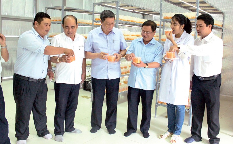 Bài 3: Nội lực hạn chế - Cần giải pháp để khắc phục