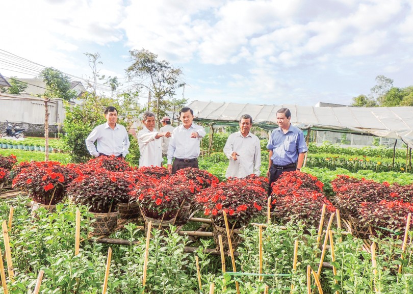 Tìm đầu ra cho sản phẩm nông nghiệp đô thị