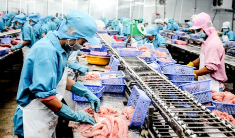 Xuất khẩu nông sản đạt kỷ lục mới