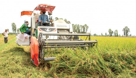 Hài hòa trong đầu tư

cơ giới hóa nông nghiệp