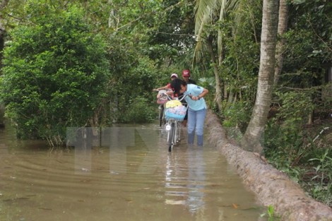 Triều cường ở Nam Bộ có nguy cơ gây ngập sâu vào giờ cao điểm