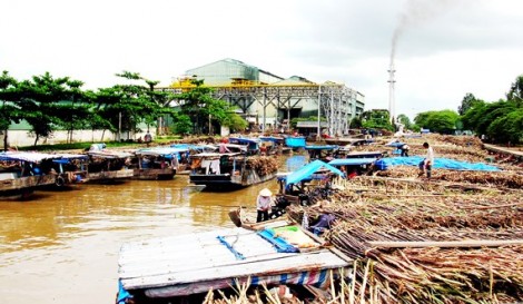 “Cửa hẹp” cho ngành mía đường