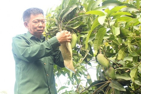 Giữ gìn, phát huy bản chất

“Bộ đội cụ Hồ”