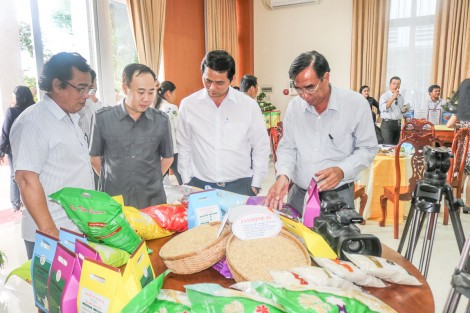Đề cao vai trò hạt nhân của giám đốc hợp tác xã