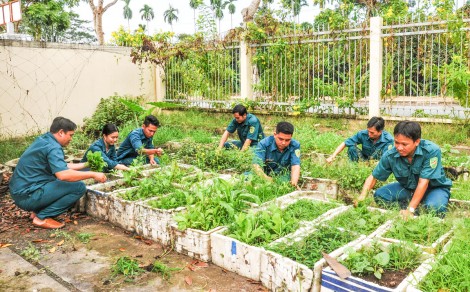 Phát triển đảng viên trong lực lượng dân quân tự vệ