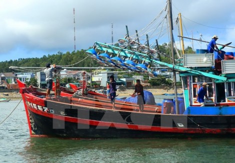 Khai thác và chế biến thủy sản, phát huy tiềm năng biển đảo Việt Nam