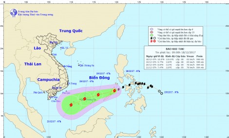 Chủ động ứng phó với bão Kai-Tak