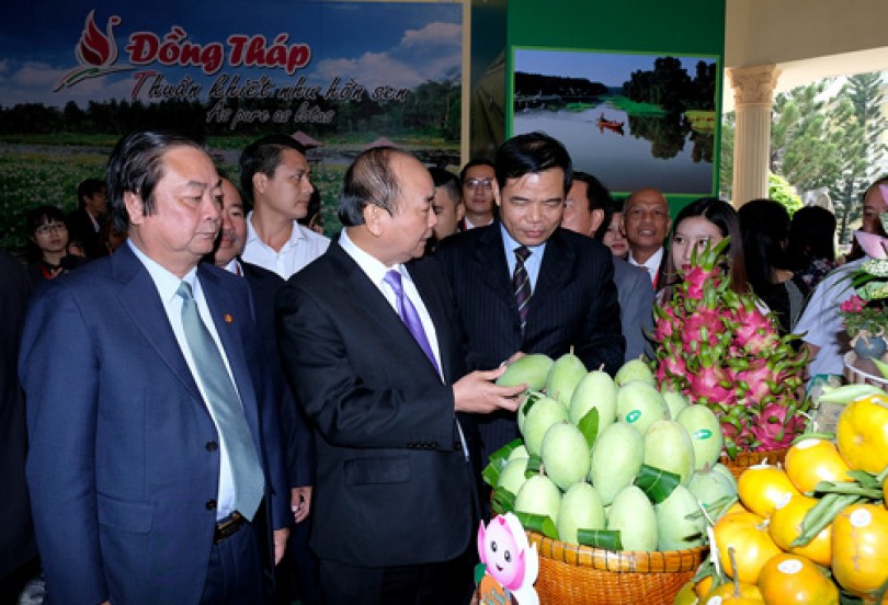 Thủ tướng: 'Liên kết' là từ khóa để Đồng Tháp thành ‘ngôi sao sáng’