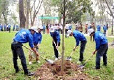 Tổ chức “Tết trồng cây” phải thiết thực, hiệu quả