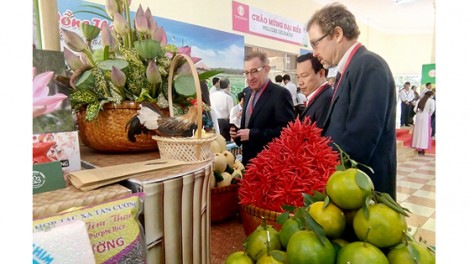 Điểm sáng tái cơ cấu nông nghiệp
