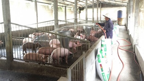 Thới Đông hướng đến

xã nông thôn mới kiểu mẫu