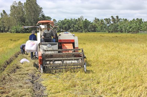 Các tỉnh, thành vùng kinh tế trọng điểm ĐBSCL sẽ đẩy mạnh hợp tác trên nhiều lĩnh vực