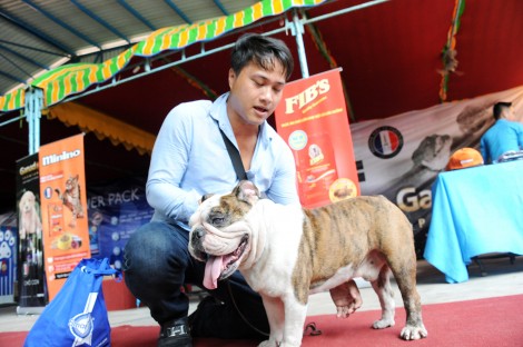 Lần đầu tiên tổ chức hội thi chó đẹp tại ĐBSCL