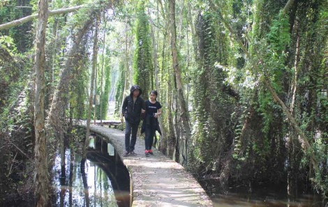 Tạo khởi đầu thú vị cho năm mới 2018