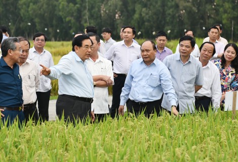 Thủ tướng: "Các ông nông nghiệp phải quần xắn móng lợn, lội ruộng với dân"