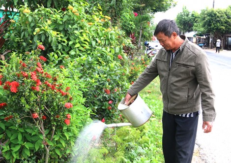 Sắc màu cuộc sống