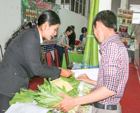 Đổi mới hoạt động xúc tiến, nâng cao hiệu quả thu hút đầu tư