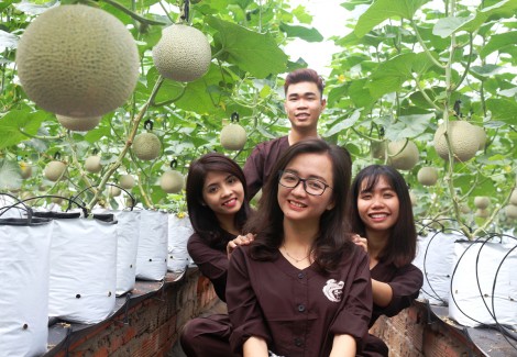 “Mài sắc” mũi nhọn du lịchBài 3: Tác động của ngoại lực