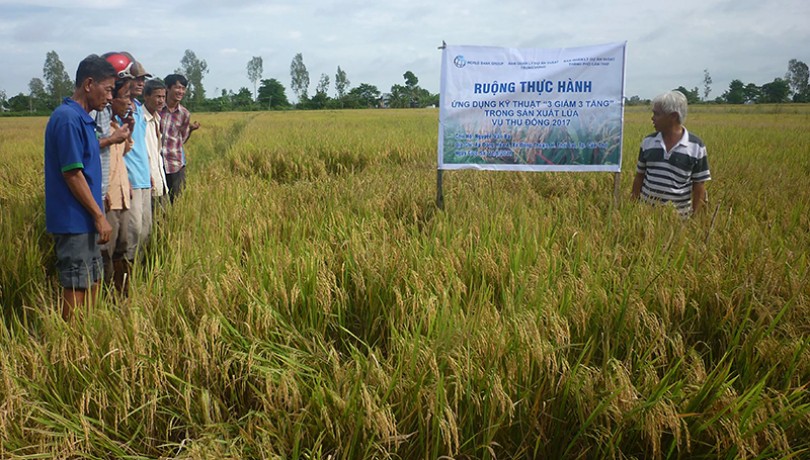 Tăng cường cảnh báo

xâm nhập mặn khi mùa khô đến
