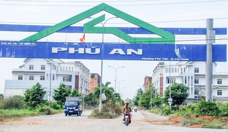 Khảo sát vị trí lắp đặt đèn tín hiệu và hệ thống biển báo giao thông đường Quang Trung - Cái Cui